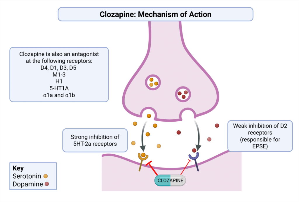 Werking Clozapine